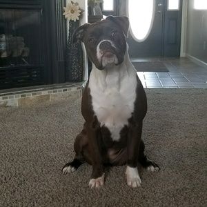 Meet your Posher, Sam